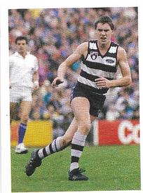 1991 Select AFL Stickers #129 Adrian Fletcher Front